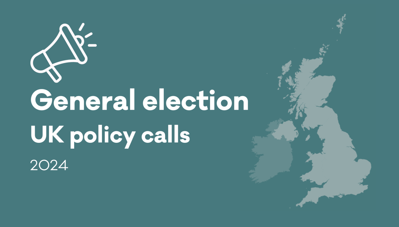General election UK policy calls - 2024